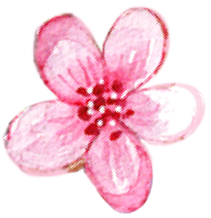 Stéphanie Salesse - Soins et massages traditionnels en Ayurveda